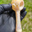Small image 6
