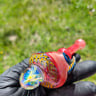 Small image 0
