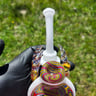 Small image 6