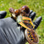 Small image 5
