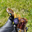 Small image 6