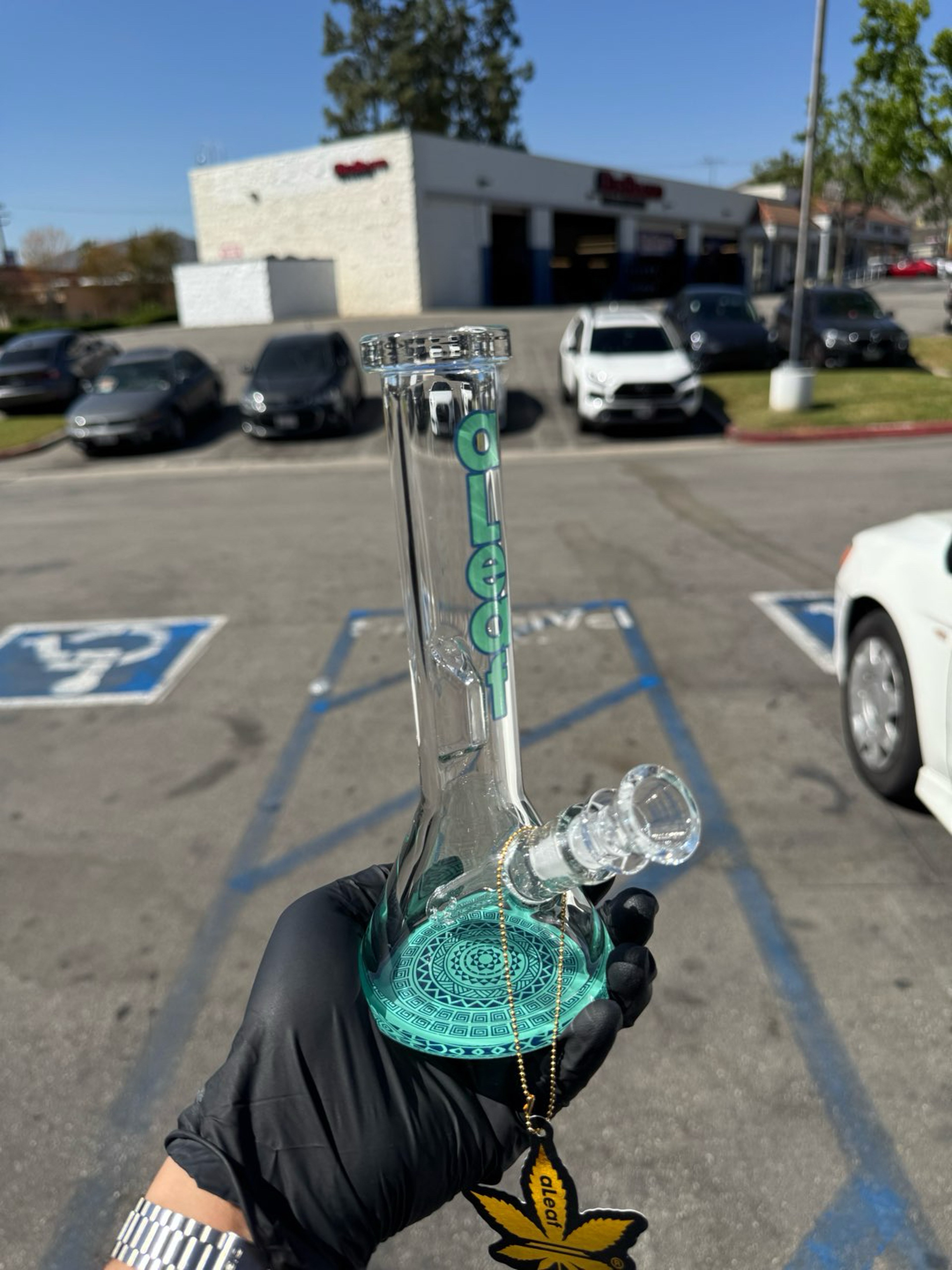 Preview pic of Aleaf Teal Beaker