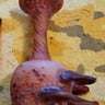 Small image 1
