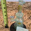 Small image 6