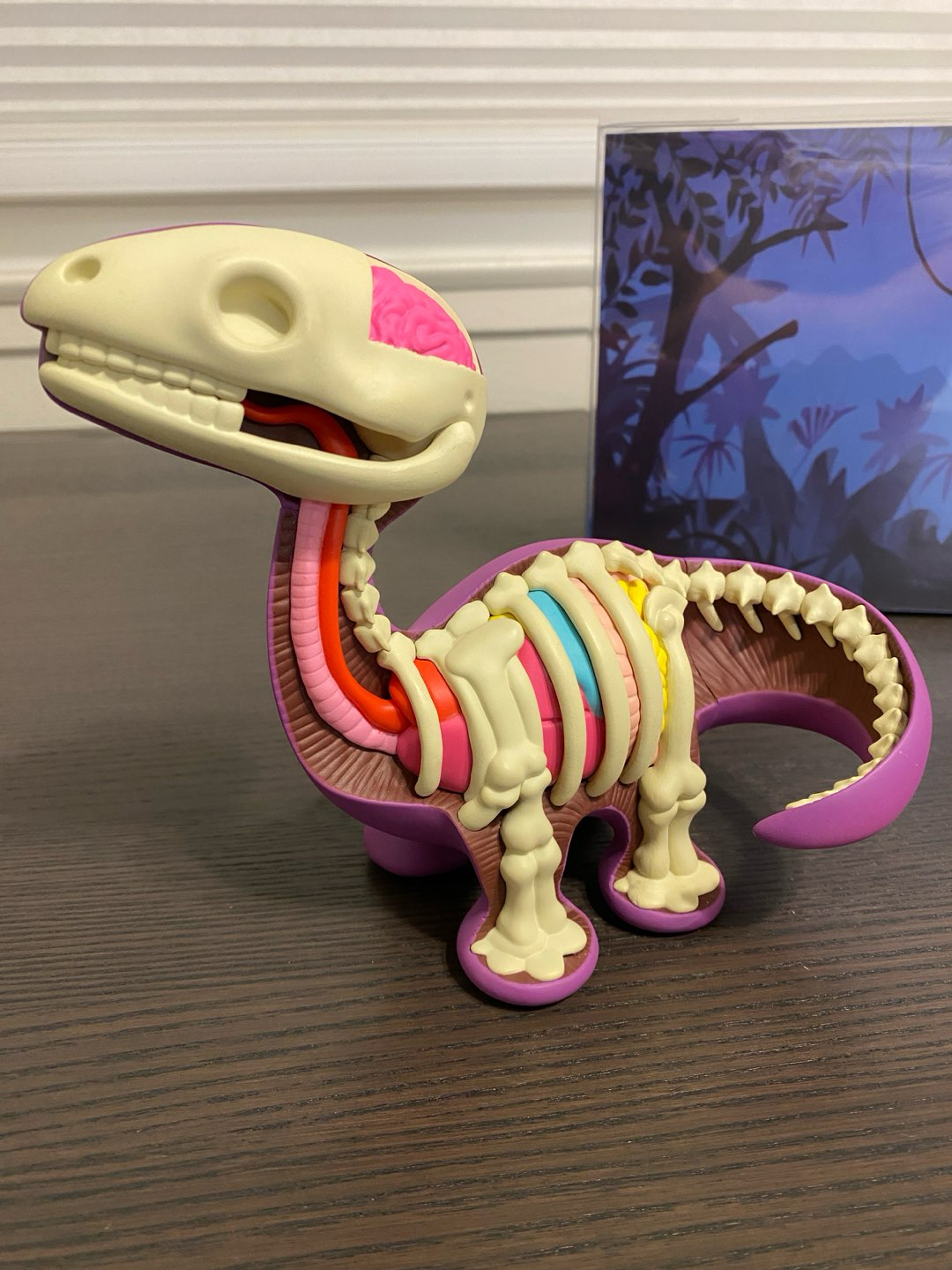 Preview pic of Elbo- Dissected Bronto - Small