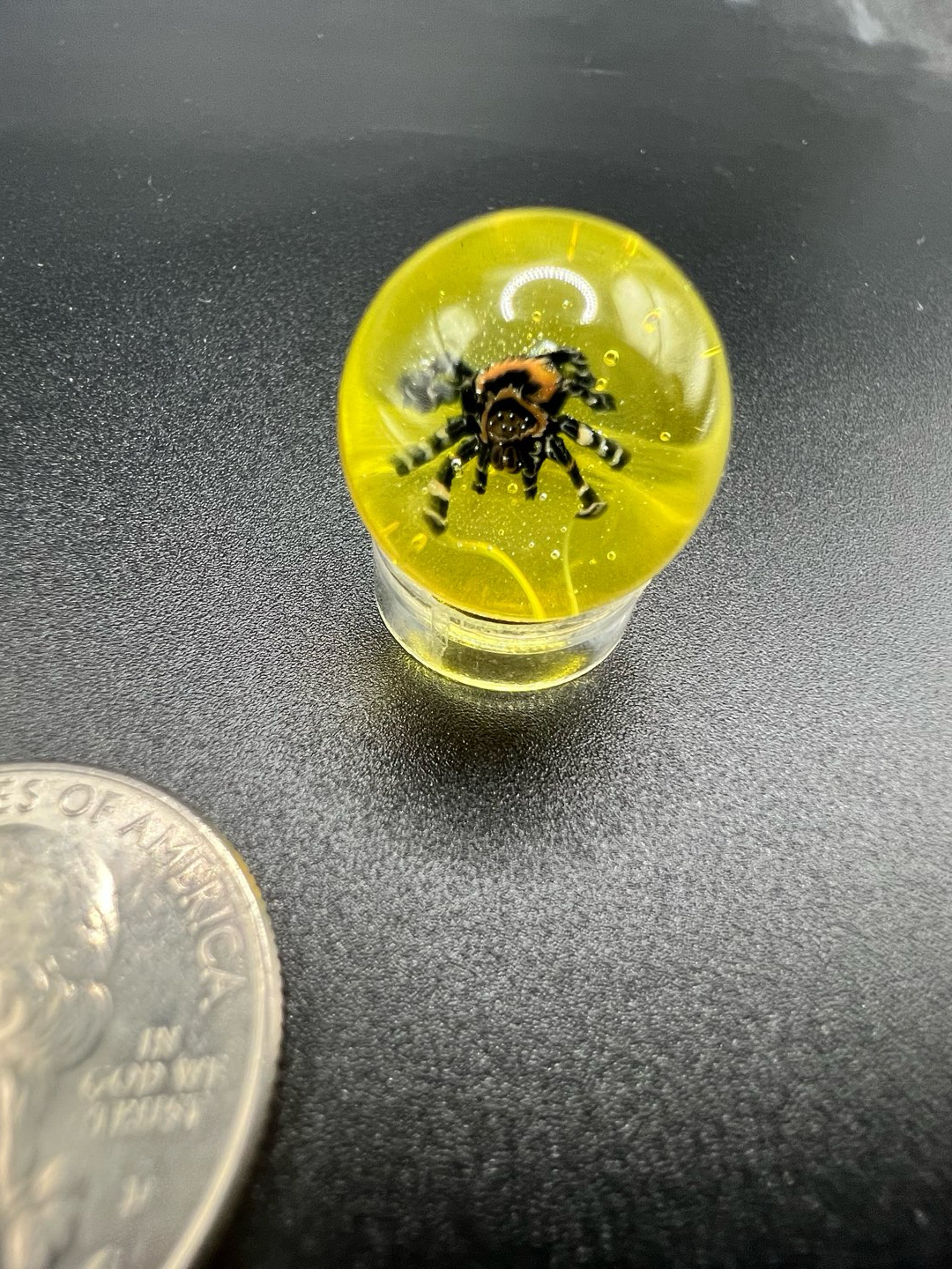 Preview pic of Spider Marble