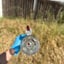 Small image 5