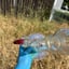 Small image 6