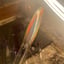 Small image 7