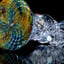 Small image 6