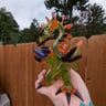Small image 2