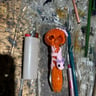 Small image 2