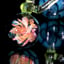 Small image 7