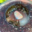 Small image 8