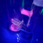 Small image 9