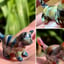 Small image 4
