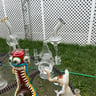 Small image 6