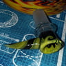 Small image 2