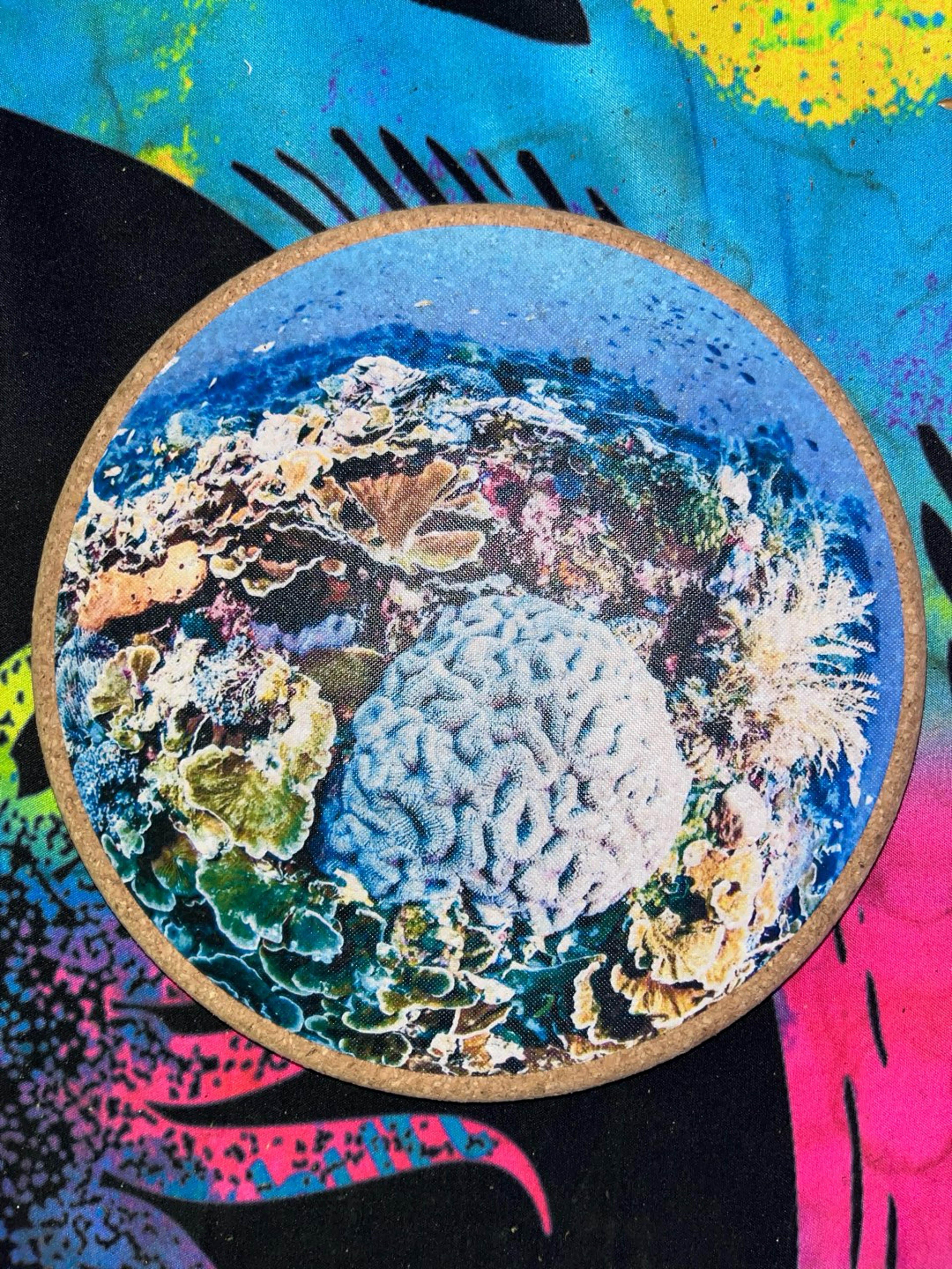 Preview pic of Coral reef matt