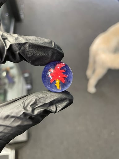 Preview pic of Willstar Glass Millie Marble Side Show Bob