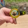 Small image 3