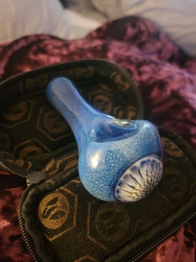 Preview pic of Blue Anemone