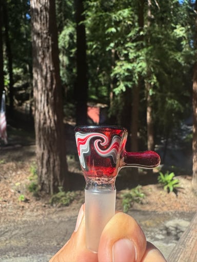 Preview pic of Santa Cruz glass slide