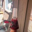 Small image 5