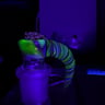 Small image 4