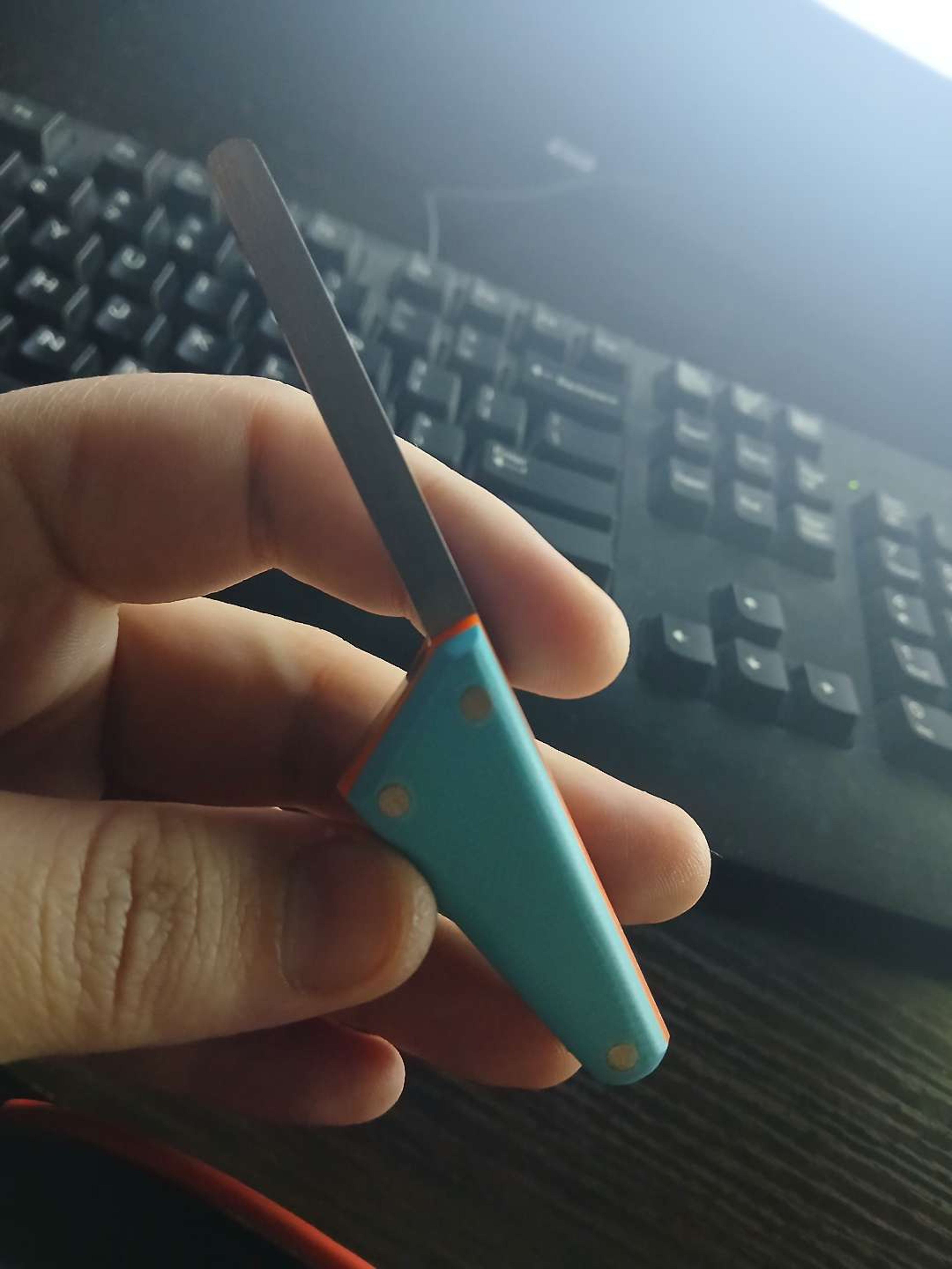 Preview pic of Kal hooto, blue scale with uv