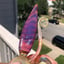Small image 7