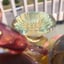 Small image 9