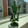 Small image 1