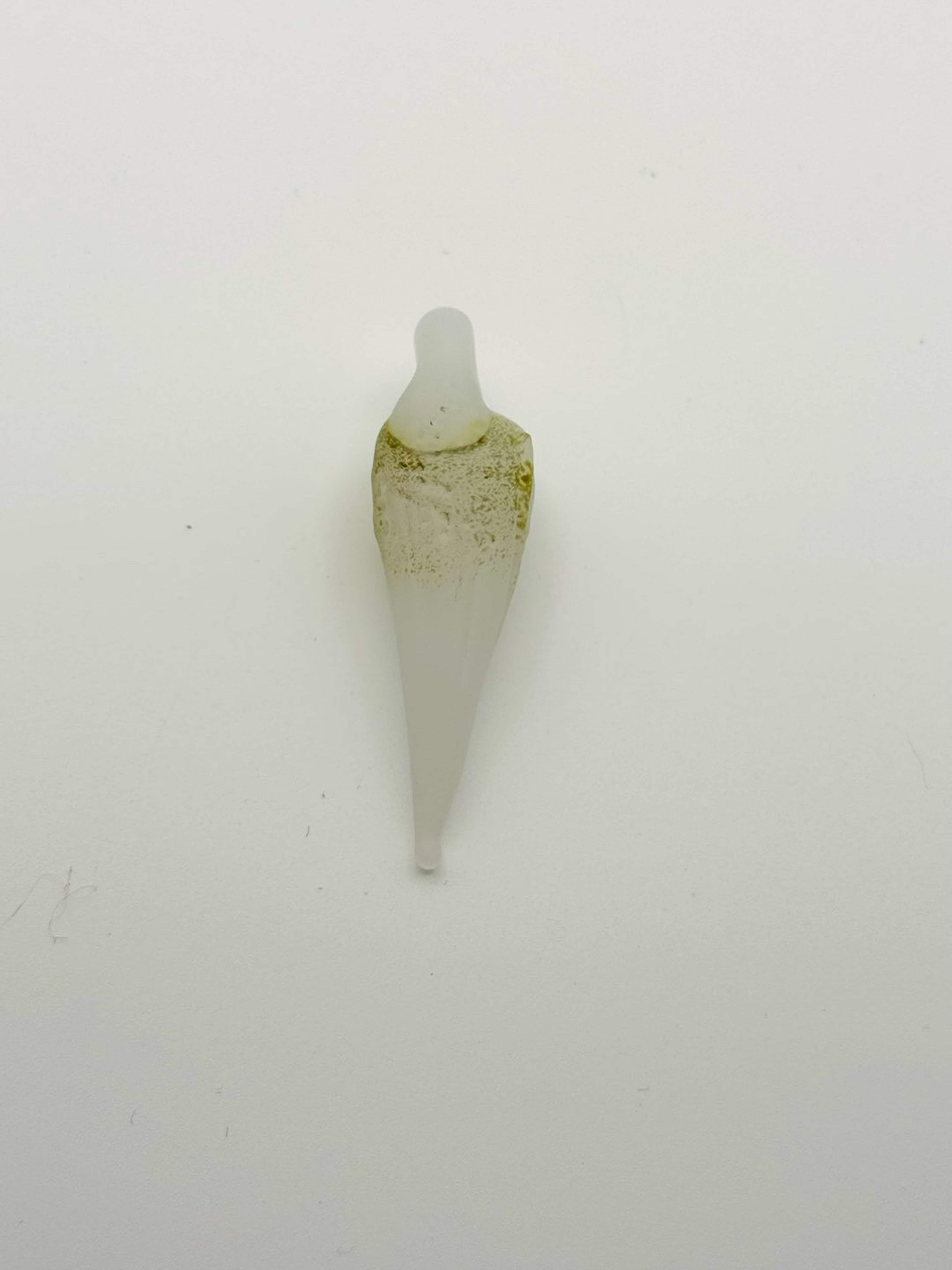 Preview pic of No reserve tooth pendy!