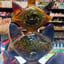 Small image 6