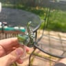 Small image 0