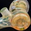 Small image 8