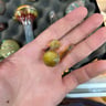 Small image 1