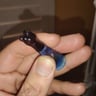 Small image 3