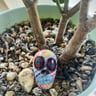 Small image 0