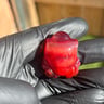 Small image 4