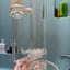 Small image 6