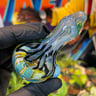 Small image 1