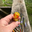 Small image 5
