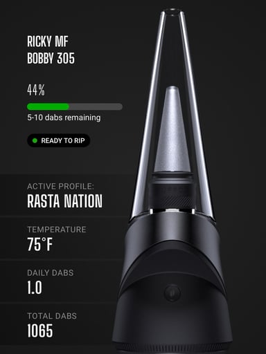Preview pic of Puffco Peak Pro