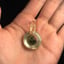 Small image 6