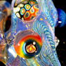 Small image 5