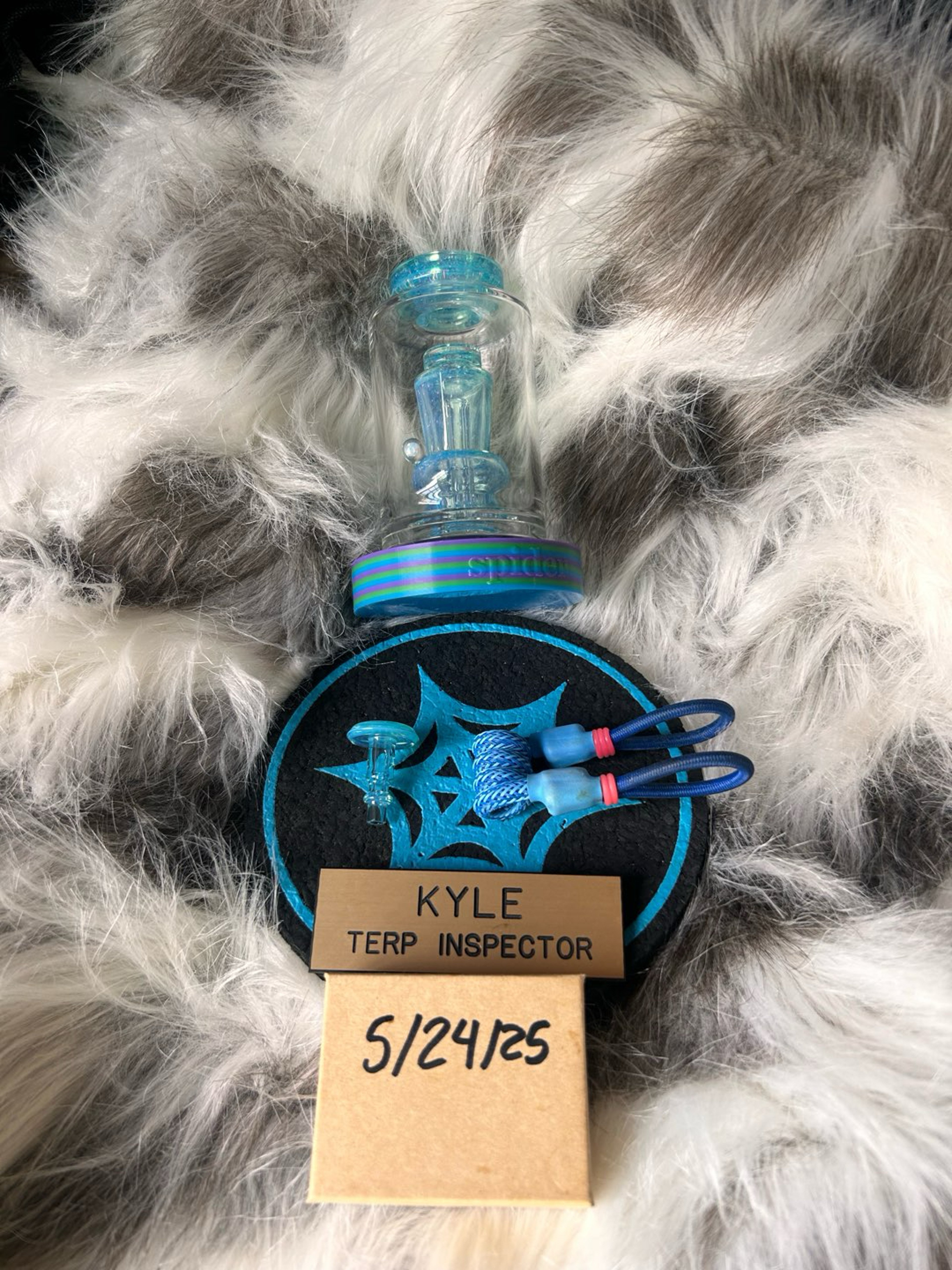 Preview pic of Spider glass bundle