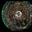 Small image 9