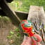 Small image 7
